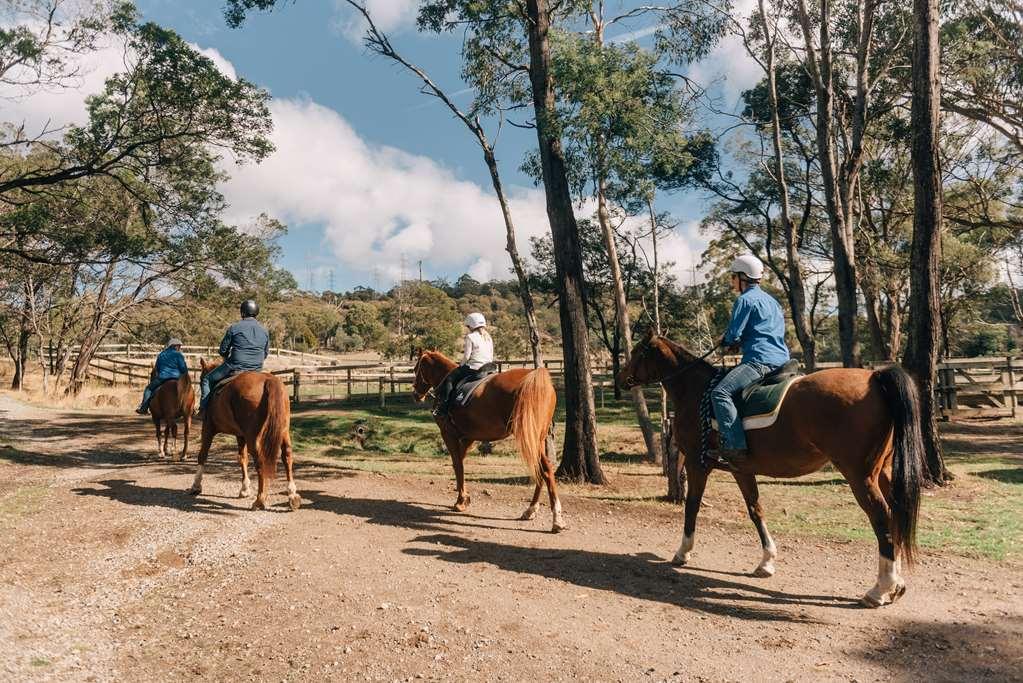 מלון לונסטון Country Club Tasmania מראה חיצוני תמונה