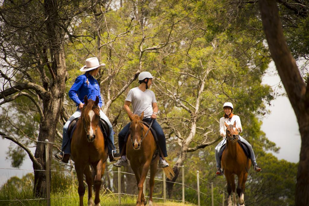 מלון לונסטון Country Club Tasmania מראה חיצוני תמונה