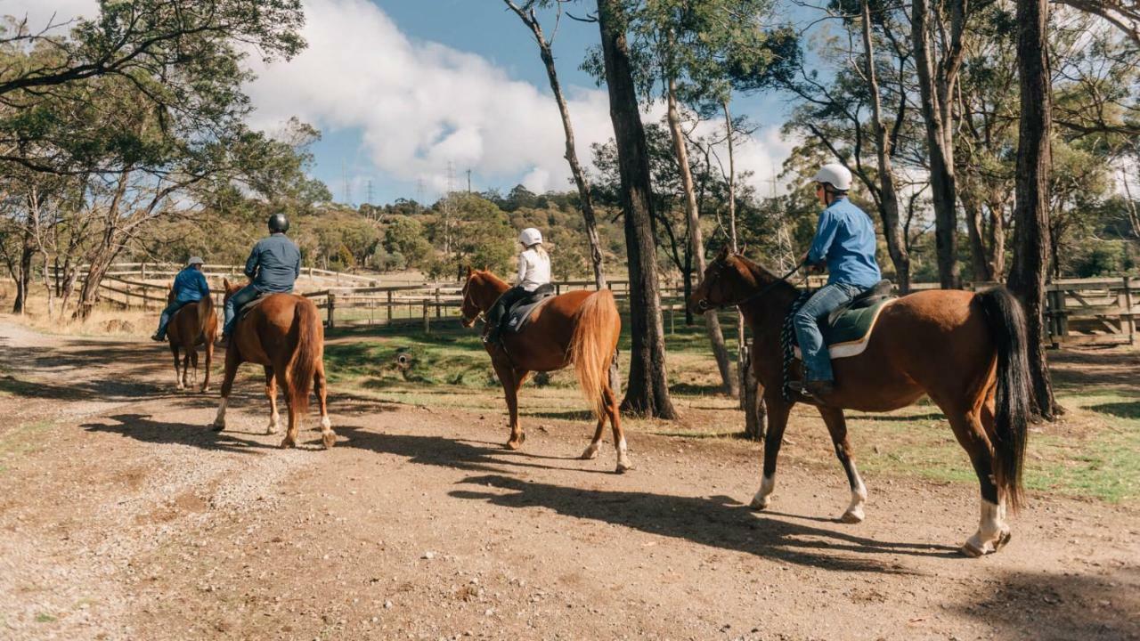 מלון לונסטון Country Club Tasmania מראה חיצוני תמונה